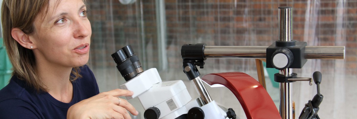 Image du carrousel de présentation