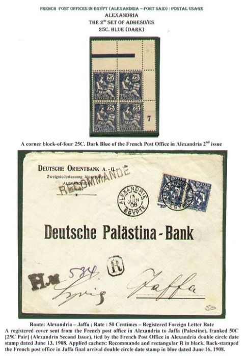 Feuille de présentation