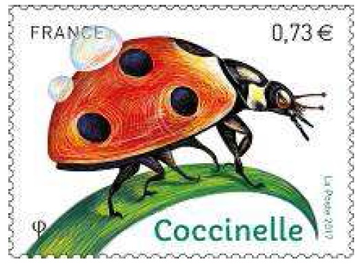 Emission Série nature : Les insectes