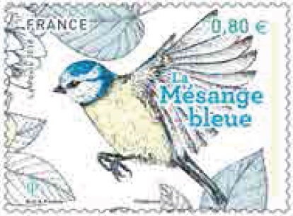 Emission Bloc ’Les oiseaux de nos jardins’