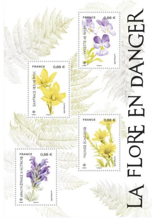 Emission La Flore en danger