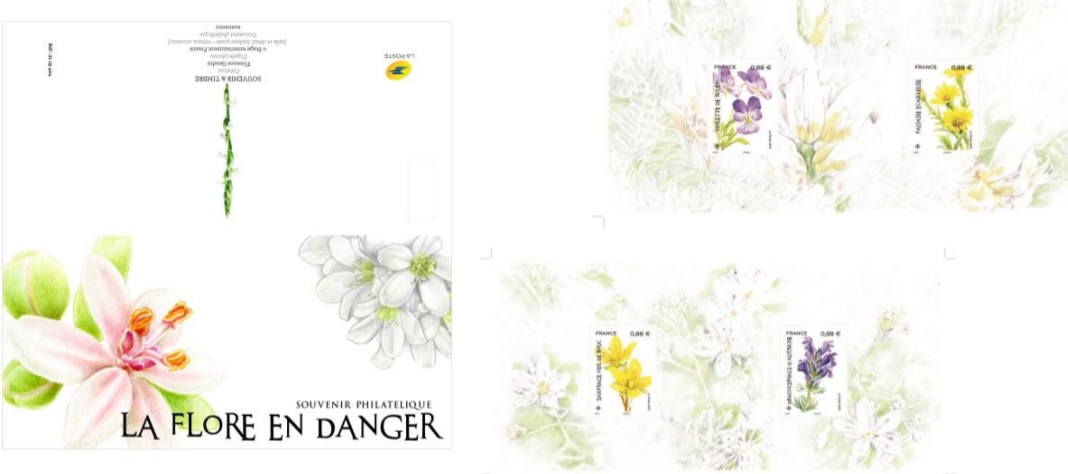 Emission La Flore en danger