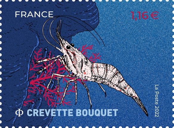 Emission Coquillages et crustacés