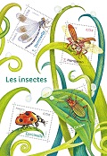 Série nature : Les insectes