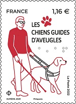 Les chiens guides d’aveugles
