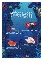 Coquillages et crustacés